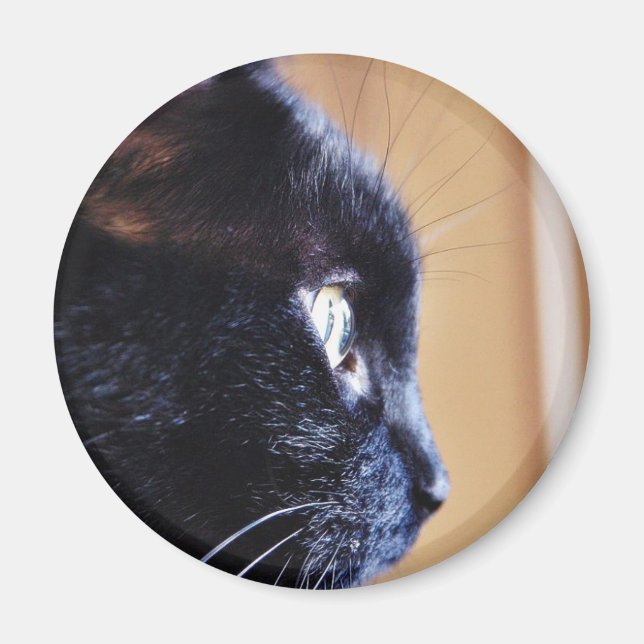 Black Cat Magnet (Front)