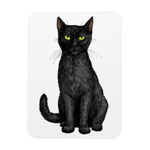Black cat magnet