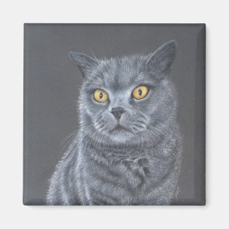 Black cat magnet