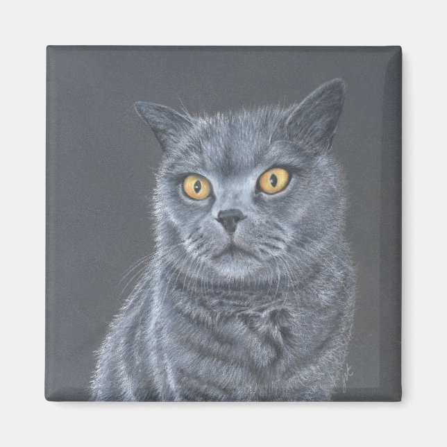 Black cat  magnet (Front)