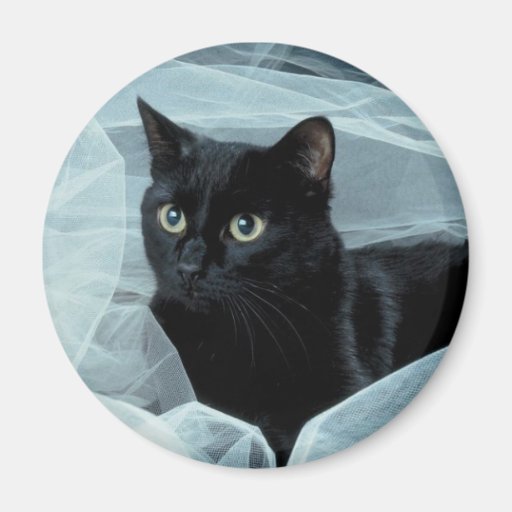 Image of Black Cat Magnet