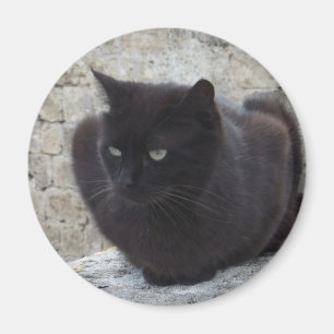 Black Cat magnet