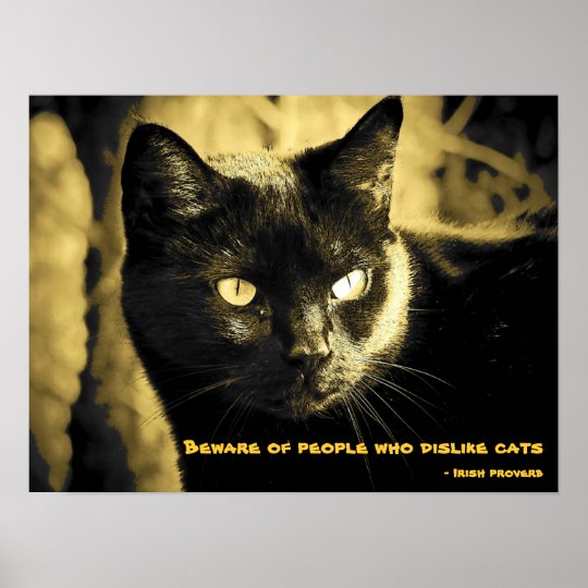 Black Cat Meme with Irish proverb Poster | Zazzle.co.uk