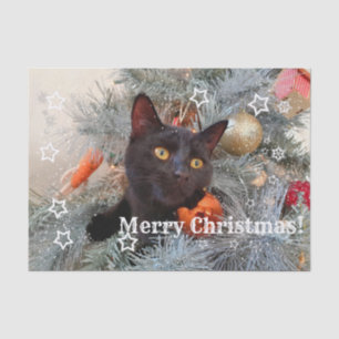 Black Cat Merry Christmas, Decoupage  Tissue Paper