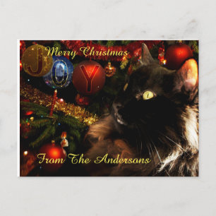 Black Cat Merry Christmas Holiday Postcard