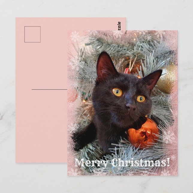 Black Cat Merry Christmas  Postcard (Front/Back)