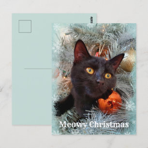 Black Cat Merry Christmas Postcard