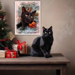 Black Cat Merry Christmas  Poster