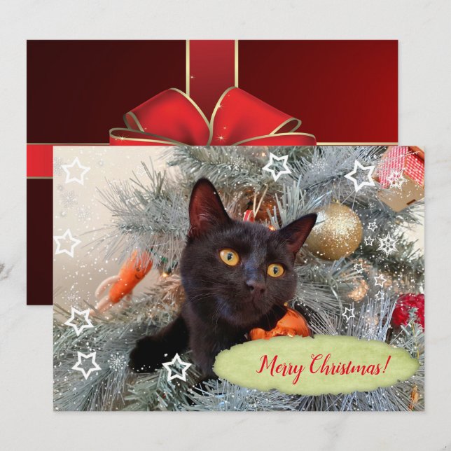 Black Cat Merry Christmas  Thank You Card (Front/Back)
