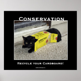 Black Cat Motivational Posters