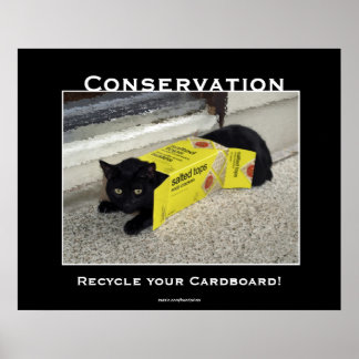 Black Cat Motivational Posters