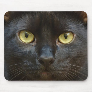 Black cat mouse mat