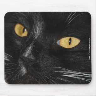 Black cat mouse mat