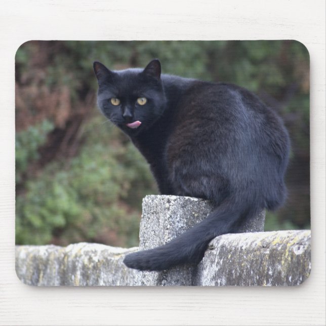 Black Cat Mouse Mat (Front)