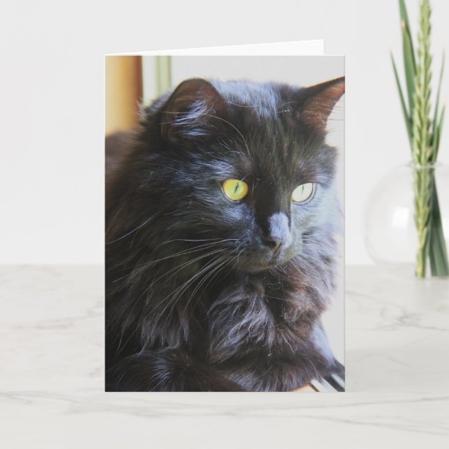Black Cat Note Card, blank inside Card (Front)