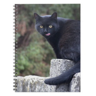 Black Cat Notebook