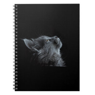 Black Cat Notebook