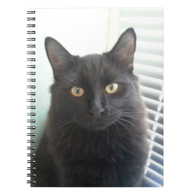 Black Cat Notebook (Front)