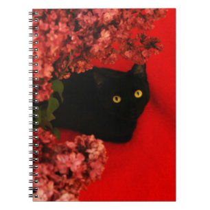 black cat notebook