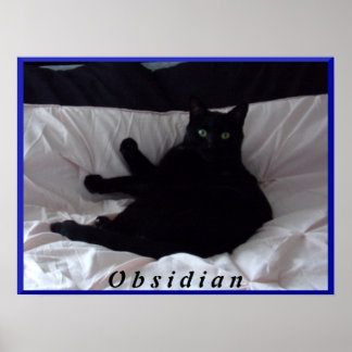 Black Cat "Obsidian" Poster
