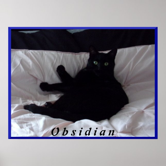 Black Cat "Obsidian" Poster (Front)