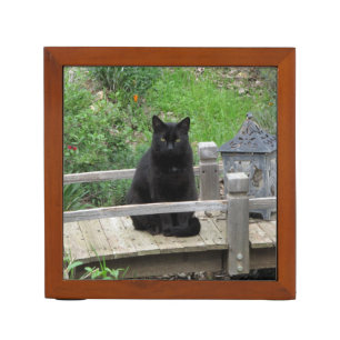 Black Cat on a Bridge Desk Organiser