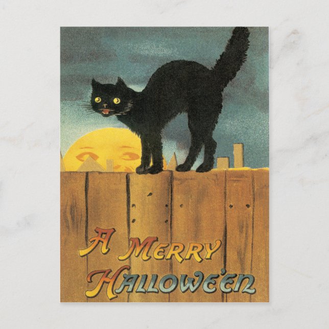Black Cat On A Fence Vintage Postcard (Front)