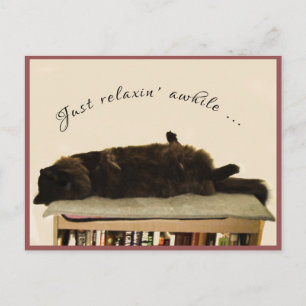 Black Cat on Vacation Postcard