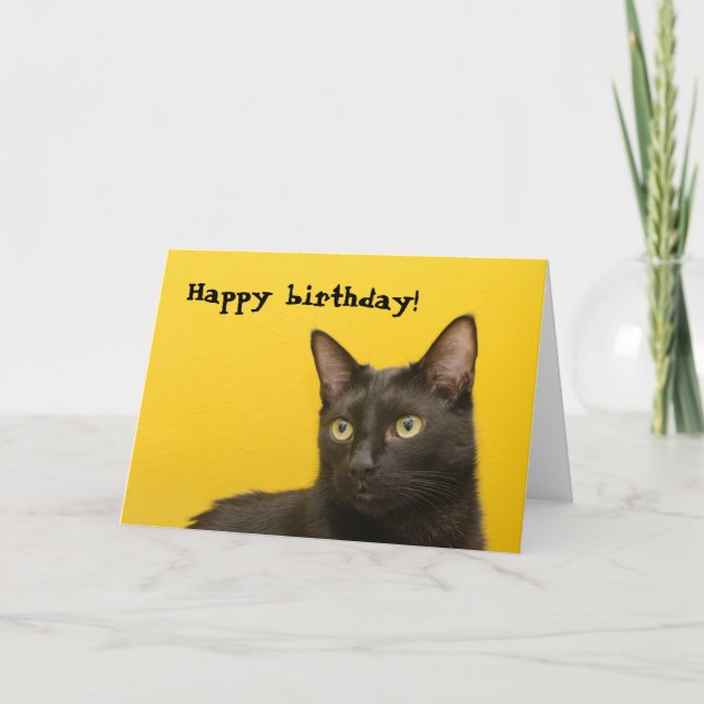 Black cat on Yellow Birthday Card (Front)