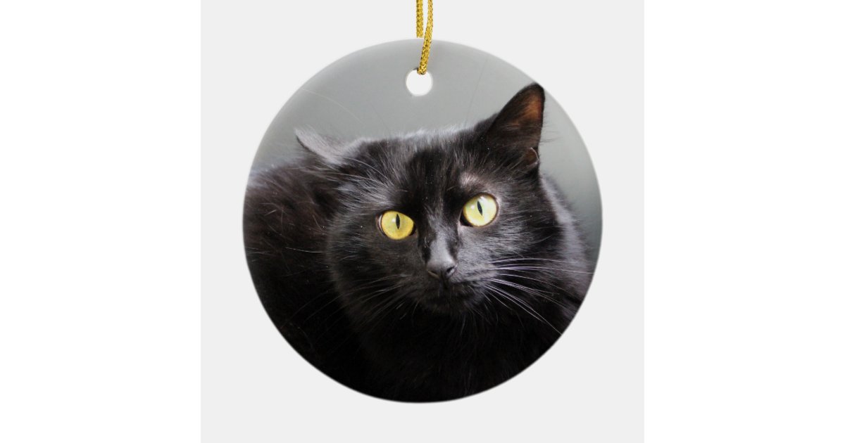 Black Cat Ornament Zazzle