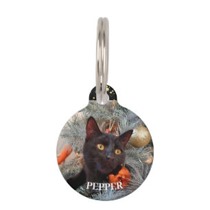 Black Cat,  Pet Tag