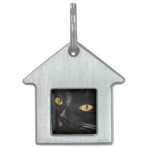 Black Cat Pet Tag