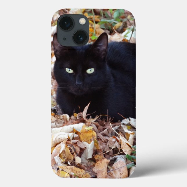 Black Cat Photo  Apple iPhone 8/7, Tough Xtreme Case-Mate iPhone Case (Back)