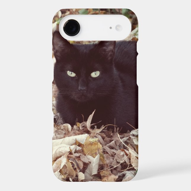 Black Cat Photo  iPhone 6/6s, Tough Case-Mate iPhone Case (Back)