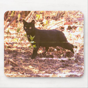 Black Cat Photo Mouse Mat