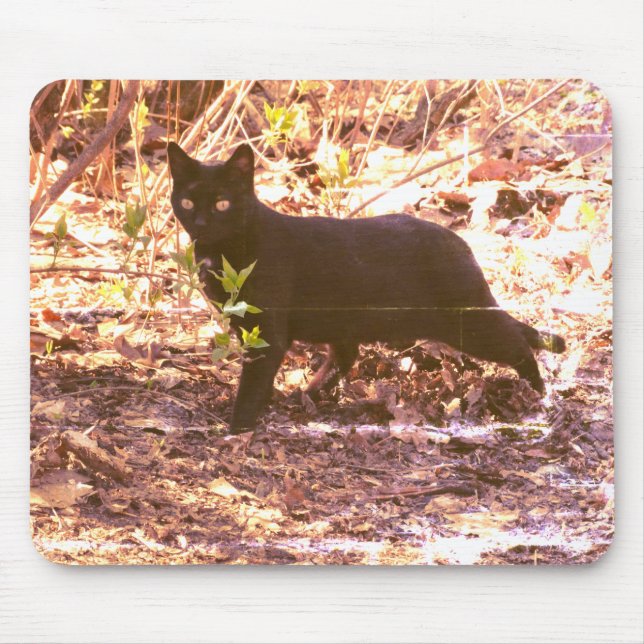 Black Cat Photo Mouse Mat (Front)