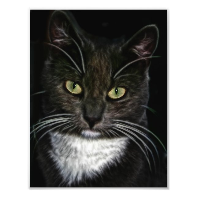 Black Cat Photo Print (Front)