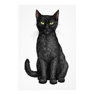 Black cat photo print