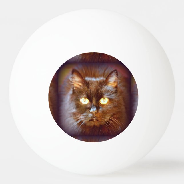black cat ping pong ball (Back)