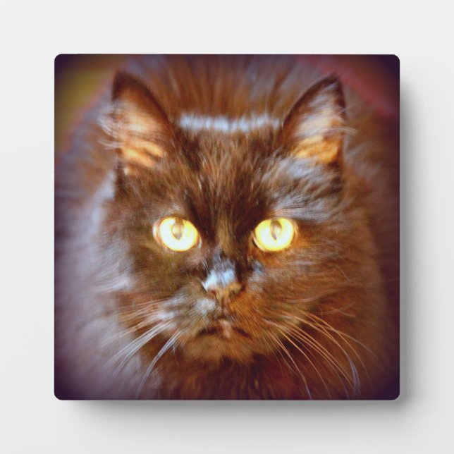 black cat plaque (Front)