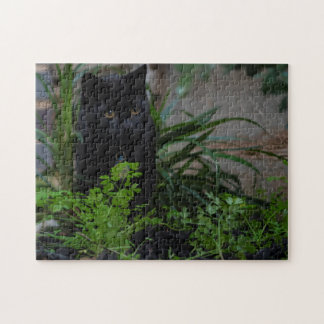 Black Cat Playing in the garden, 252 pieces Jigsaw Puzzle