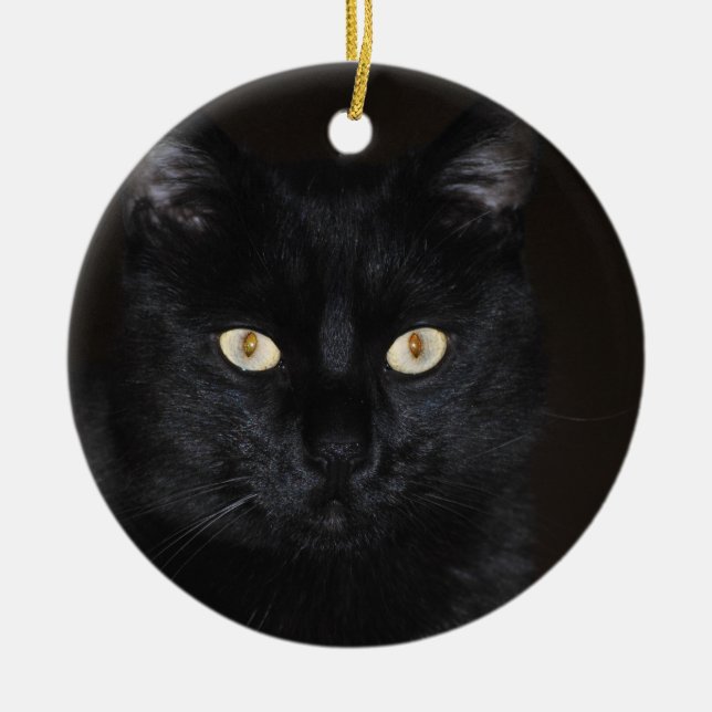 Black Cat Portrait Ceramic Tree Decoration (Front)