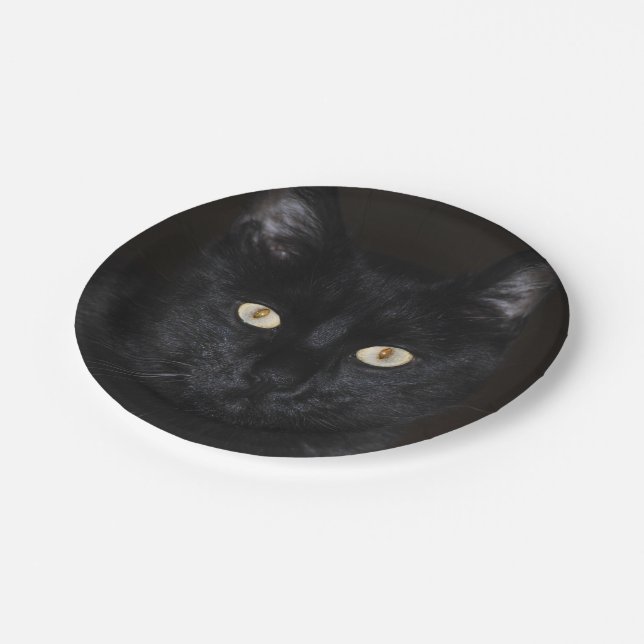 Black Cat Portrait Paper Plate (Angled)