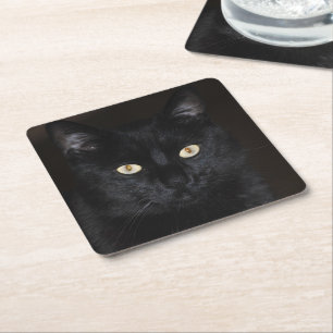 Black Cat Portrait Square Paper Coaster