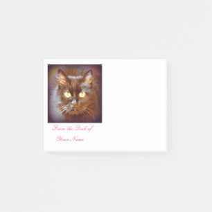 black cat post-it notes