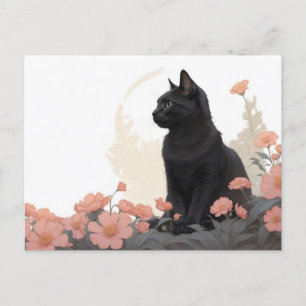 black cat postcard