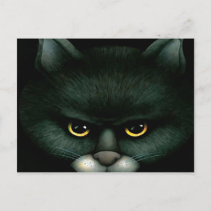 Black Cat - Postcard