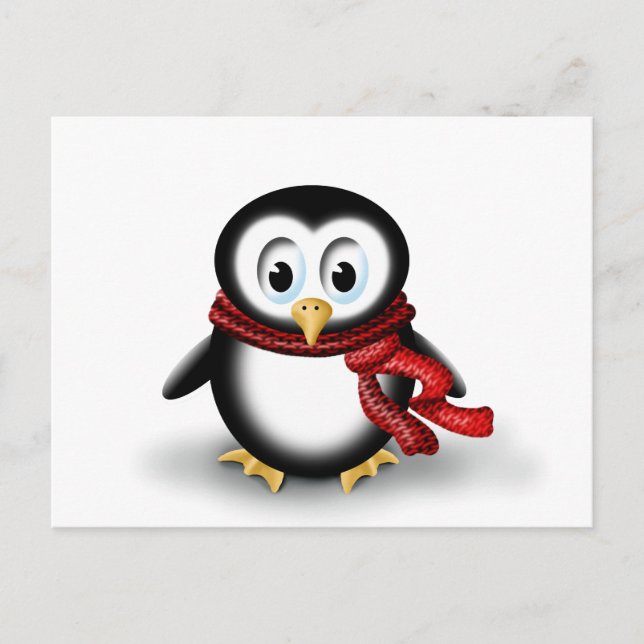 Black Cat Postcard (Front)