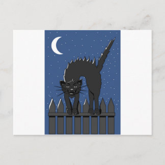 Black Cat Postcard