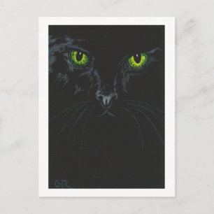 Black Cat Postcard